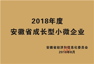 2018年度安徽省成長(zhǎng)型小微企業(yè)